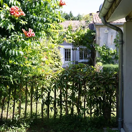 Maison De Caractere & Piscine - Proche Saint-emilion Pujols (Gironde)